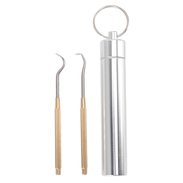 Toothpicks Pocket Set Stainless Steel Brass Reusable Toothpicks for Outdoor Camping Picnic