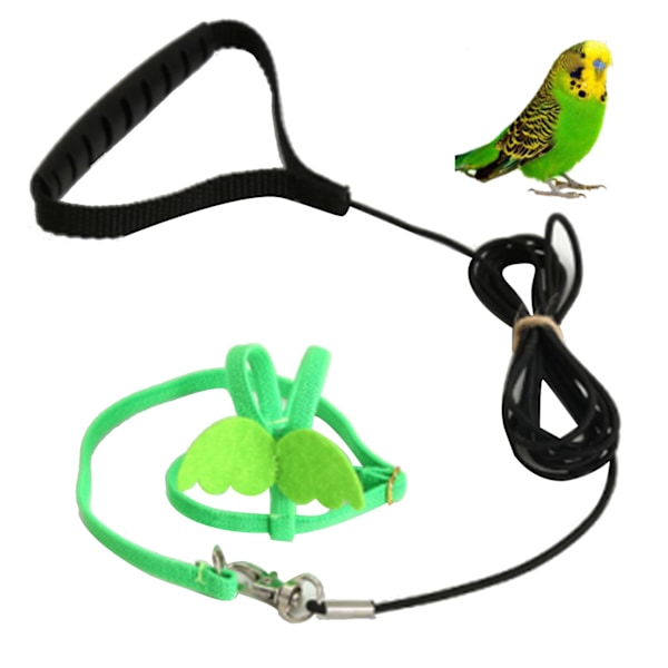 Lemmikki Linnunvaljaimet Hihna Joustava Lintu Lentovaljaat Vetohihna Conures Undulaatti Lovebird Cockatiel Mynah