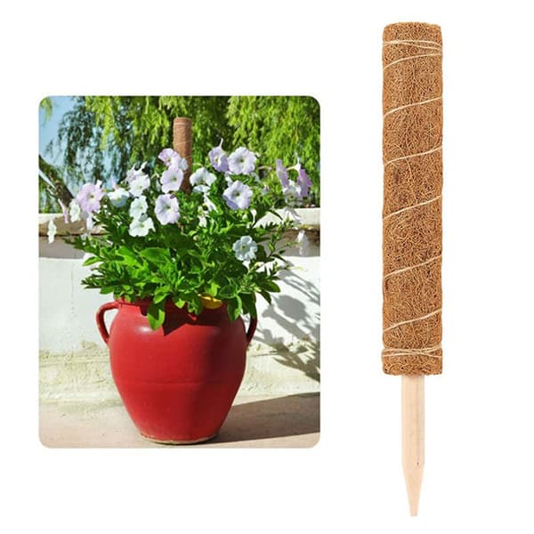 Coir Moss Pole Plant Support Coconut Shell Heavy Duty Pointed Bottom Coconut Totem Pole
