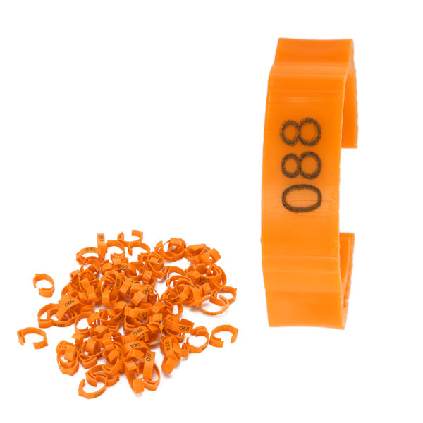 100 kpl siipikarjan jalka-renkaita Tunnistusjalka-soljet numeroilla kanan ankka linnulle oranssi