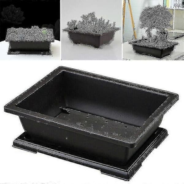 Stor blomkruka rektangulär bonsai plantskola 29x21x10,5cm