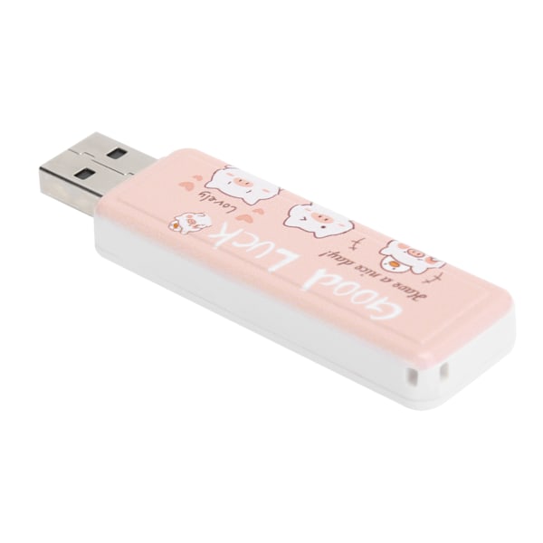 USB2.0 PushPull Flash-stasjon Minne Bedriftsgave Bil Datatilbehør (Lykkegris 128GB)