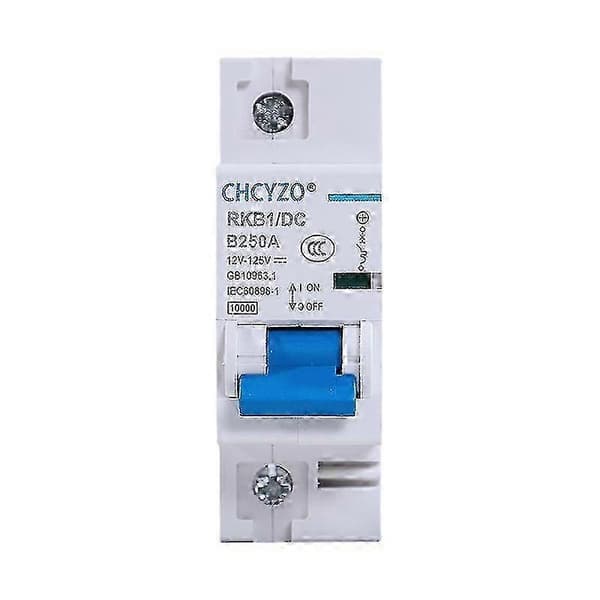 DC 1P kretsbrytare 12-125V Mini bilskydd 80A-250A för elbilsbatteriskydd 100A