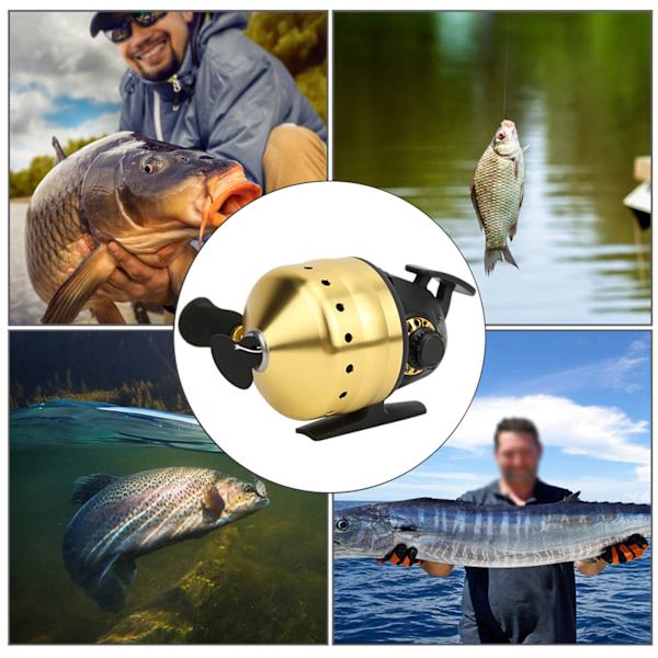 Utomhus Bågfiske Spincast Reel Inside Lines Stängd Fisk Jakt Skytte Tillbehör gyllene