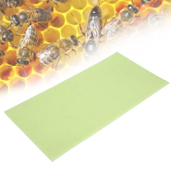 10 pcs Green Plastic Beekeeping Honeycomb Sheet Beeswax Beehive Foundation Beekeeping Accessories