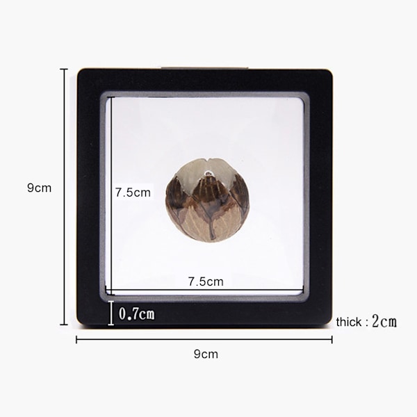 10st 3D Flytande Ram Vitrineskåp Fristående Flytande Smycken Förvaringsfodral för Mynt Minerals Klockor 3,54x3,54in Vit