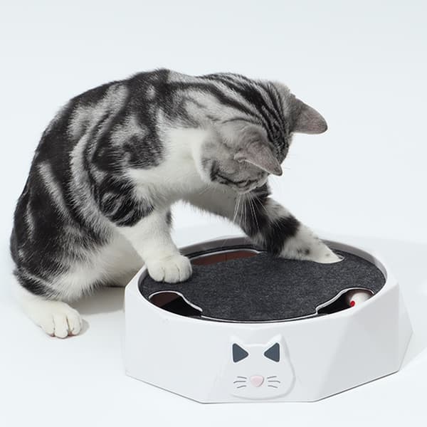 Interactive Cat Turntable Electric 2-Speed Adjustable Automatic Puzzle Catch Mouse Play Cat Toy for Pet Supplies