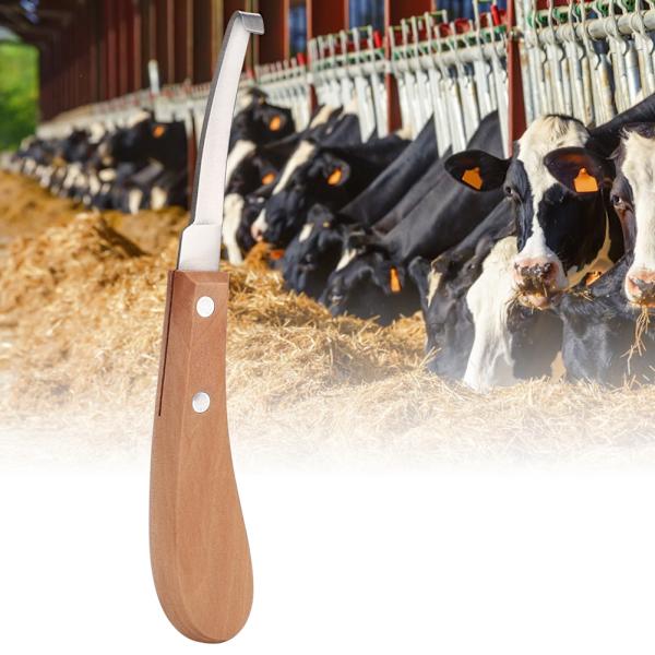 Rak bladform i kolstål hovkniv Trimverktyg för nötkreaturshästar (höger hand)