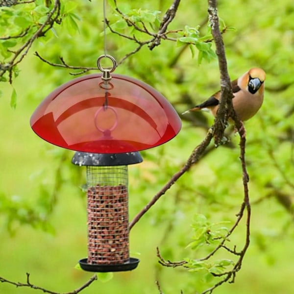 Ulkoilma-baffle linnunsyöttäjälle Selkeä linnunsyöttäjä Suojaava kupoli Riippuva kolibri-syöttäjä Guard Cover
