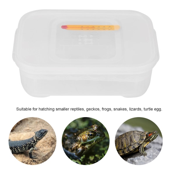 12 Ruter Slange Gecko Øgler Reptiler Egg Inkubatorbrett Klekkeskrin med Termometer