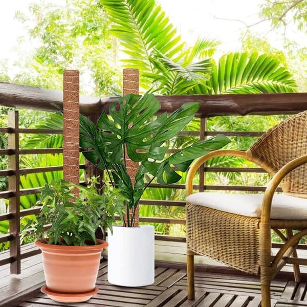 2 pcs Moss Pole for Cheese Plant Stackable Moss Stick with 20 Zip Ties for Extending Monstera Pothos Vines