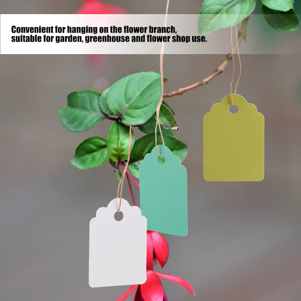 300 stk Genanvendelige Vandafvisende PVC-Planteetiketter Haveplanter Hængeetiket Blomstermærker 3,6x2,5cm