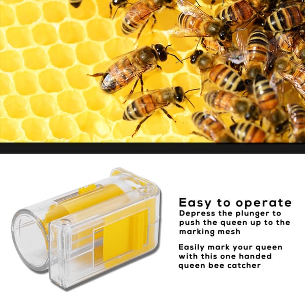 Bee Queen Marking Catcher Plastic One-Hand Marker Bottle Plunger Plush Beekeeping Tool