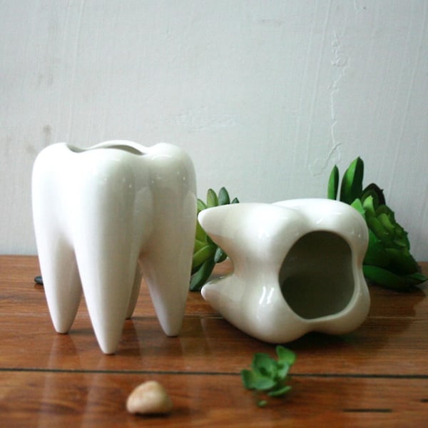 Hampaan muotoinen mehevä kukkaruukku lasitettu pieni istutusruukku, keraaminen valkoinen