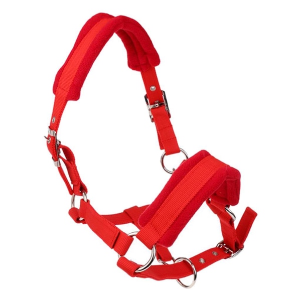 Tjocka ponny Häst Halter Head Collar Ridstall Red S