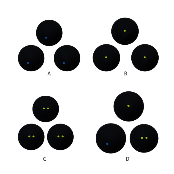 Professionella squashbollar - robust och tålig gummislang blue dot + single