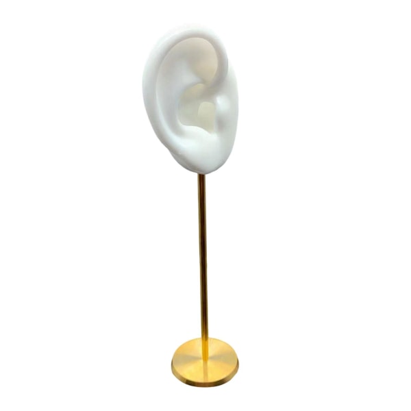 1/2/3 Hållbar örhängen Display Hållare Human Ear Model Stud Holdare White Right 1 Pc