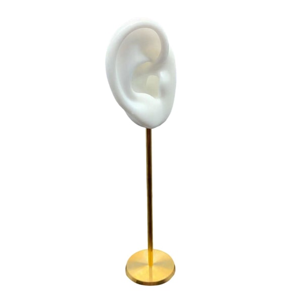 1/2/3 Hållbar örhängen Display Hållare Human Ear Model Stud Holdare White Right 1 Pc