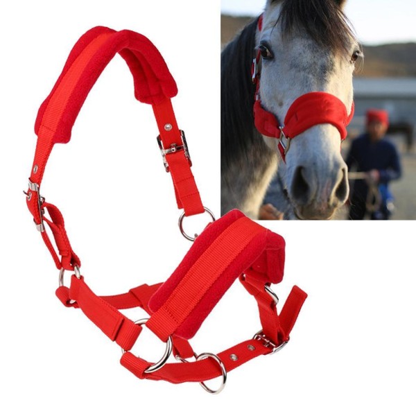 Tjocka ponny Häst Halter Head Collar Ridstall Red S