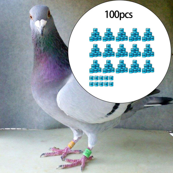 1/2/3/5 100st För Duvring 8mm 2023 Benband för Duck Most Blue America 100 pcs 1 Pc