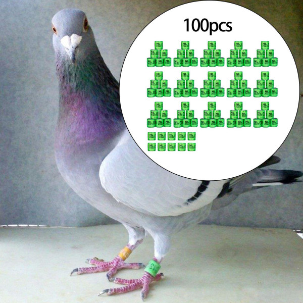 1/2/3/5 100st För Duvring 8mm 2023 Benband för Duck Most Grass Green Netherlands 100 pcs 5PCS