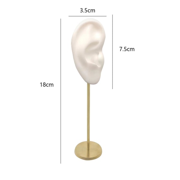 1/2/3 Örhänge Display Stand Human Ear Model Stud Holder Showcase Right Ear White Height: 18cm 1Set