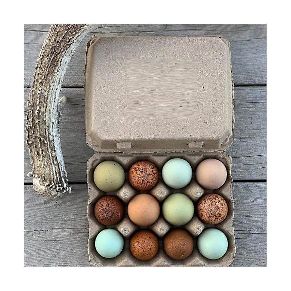 30 Vintage Blanke Eggkartonger - Rommer 12 egg i klassisk 3x4 stil, laget av robust resirkulert papp
