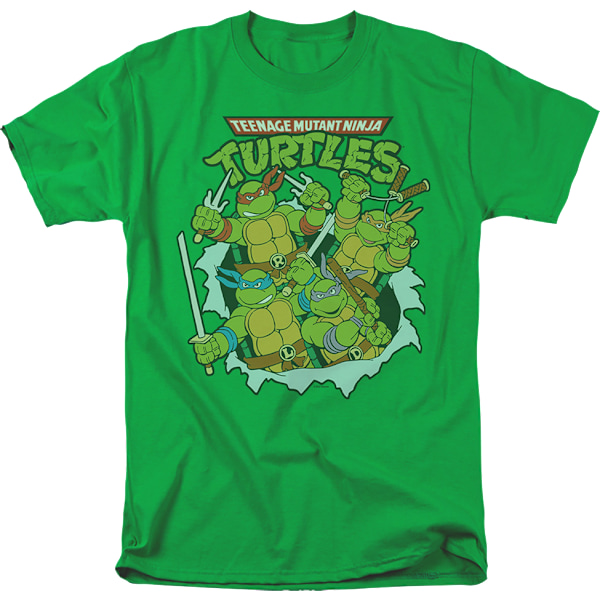 Vintage Grön Gruppbild Teenage Mutant Ninja Turtles T-Shirt M