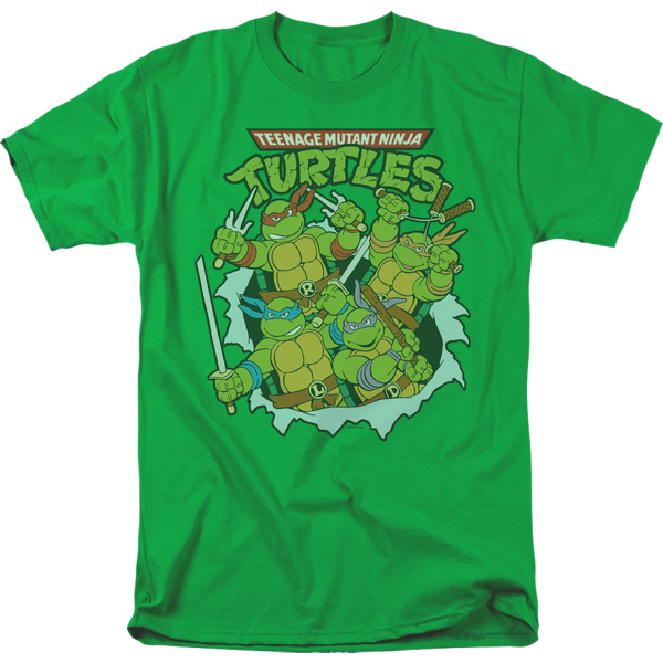Vintage grön gruppfoto Teenage Mutant Ninja Turtles T-shirt S