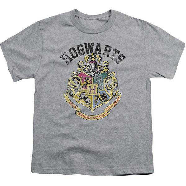 Harry Potter Hogwarts Crest T-shirt för Ungdomar M