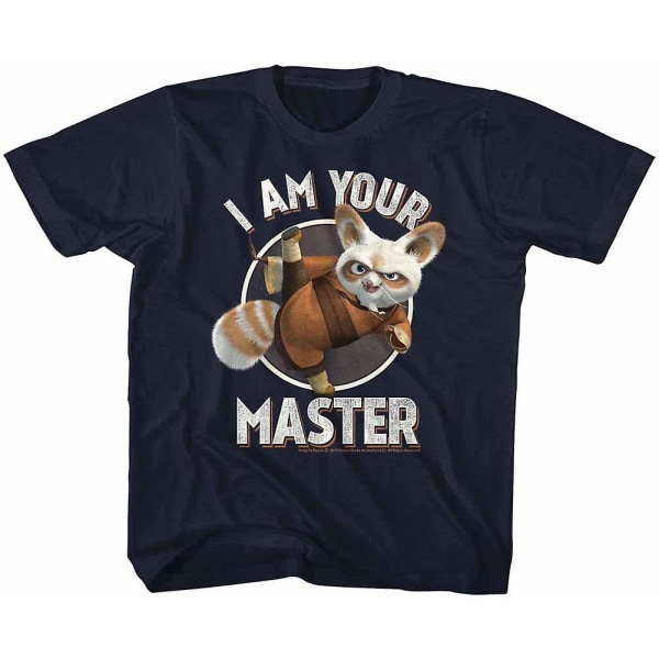Kung Fu Panda Master Youth T-shirt XXXL