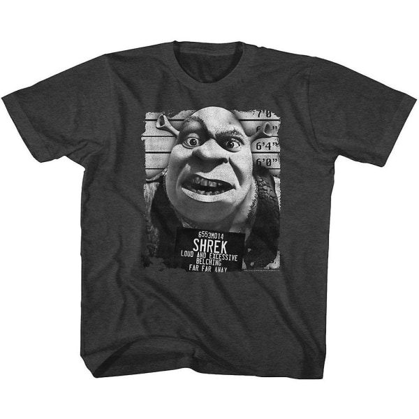 Shrek Shrek Mugshot Nuorten T-paita XXL