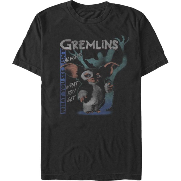 Det du ser är inte alltid det du får Gremlins T-shirt S
