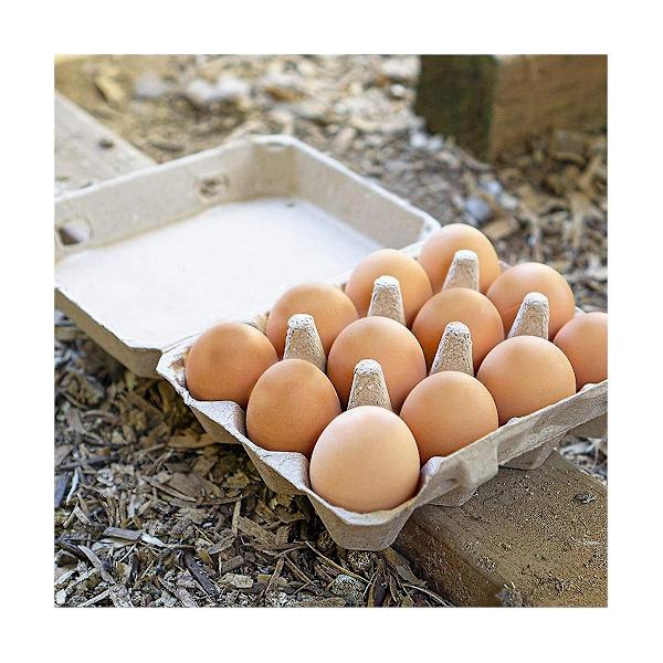 Klassisk 3x4-stil äggkartong - Rymmer 12 ägg - Materialvänlig (30-pack)