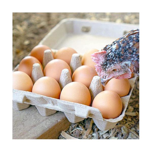 Klassisk 3x4-stil äggkartong - Rymmer 12 ägg - Materialvänlig (30-pack)