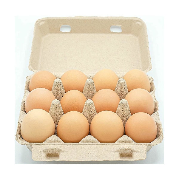 Klassisk 3x4-stil äggkartong - Rymmer 12 ägg - Materialvänlig (30-pack)
