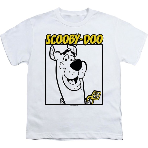 Ungdom Sketch Scooby-Doo skjorta L