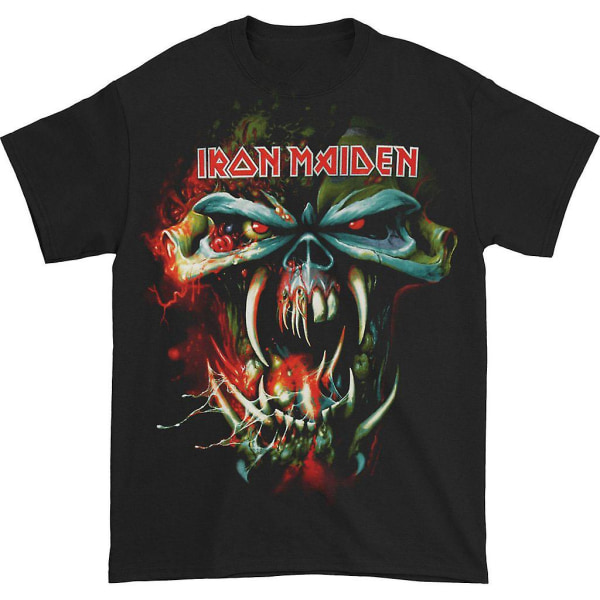 Iron Maiden TFF Face 2010 Tour T-shirt XL