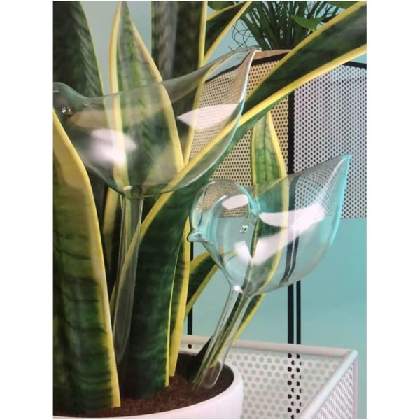 Plant Waterer Självbevattningslökar, handblåst växt i klart glas