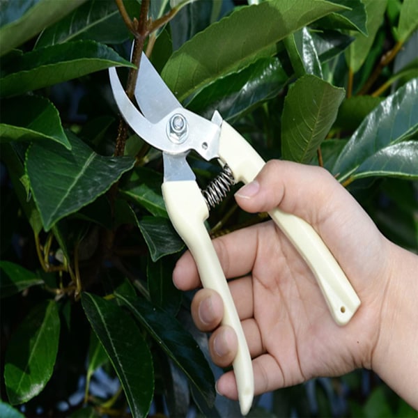 Professionella trädgårdssaxar, verktyg i tysk stil för trimning av häckar och bonsai, utrustade med ergonomisk design och snabblås, idealiska för klippning