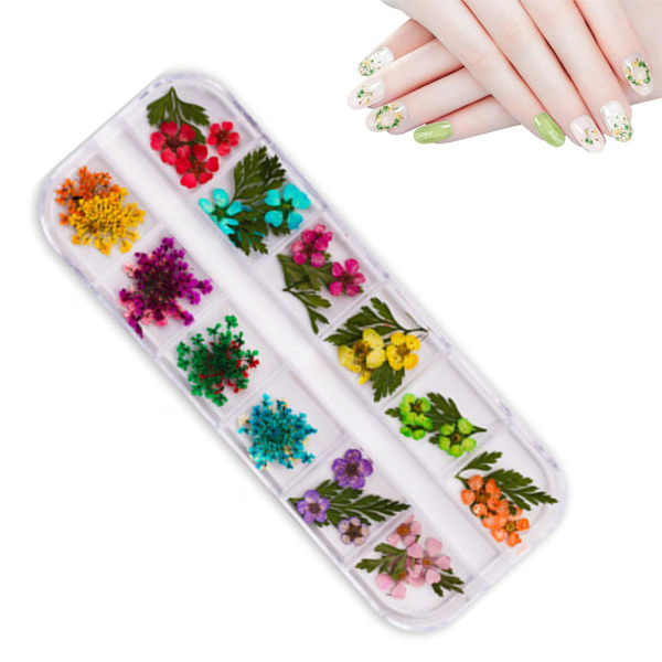1 låda med 12 färger 3D nagelkonst klistermärken riktiga torkade blommor nagelkonst klistermärken manikyr DIY design nagel torkade blommor