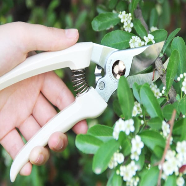 Professionella trädgårdssaxar, verktyg i tysk stil för trimning av häckar och bonsai, utrustade med ergonomisk design och snabblås, idealiska för klippning