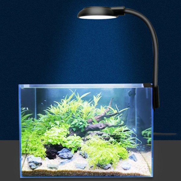 LED-akvarieljusklämma på fiskakvariumbelysning för små och medelstora fiskakvarium White