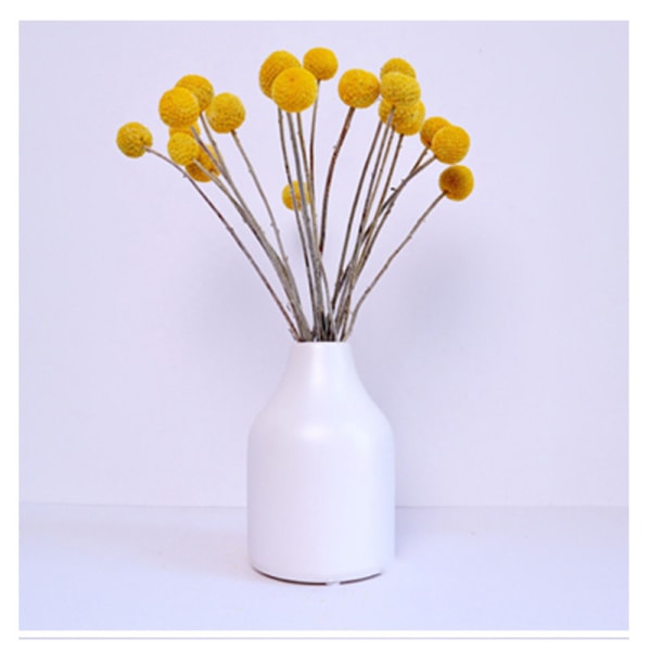 Torkade blommor gula Billy Buttons bollar bukett bunt, torkade fl