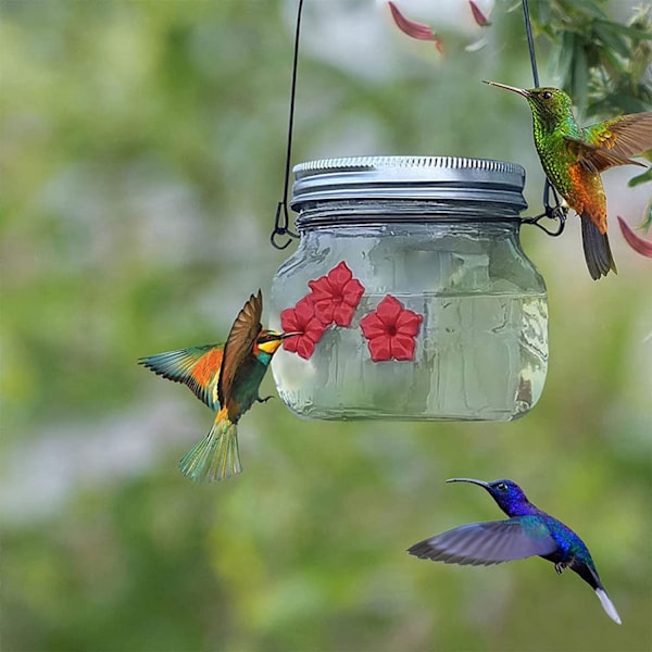 Hummingbird Feeder foderporte Mason Jar