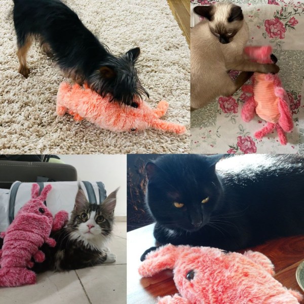 Electric Jumping Cat Toy Reker Moving Simulation Hummer