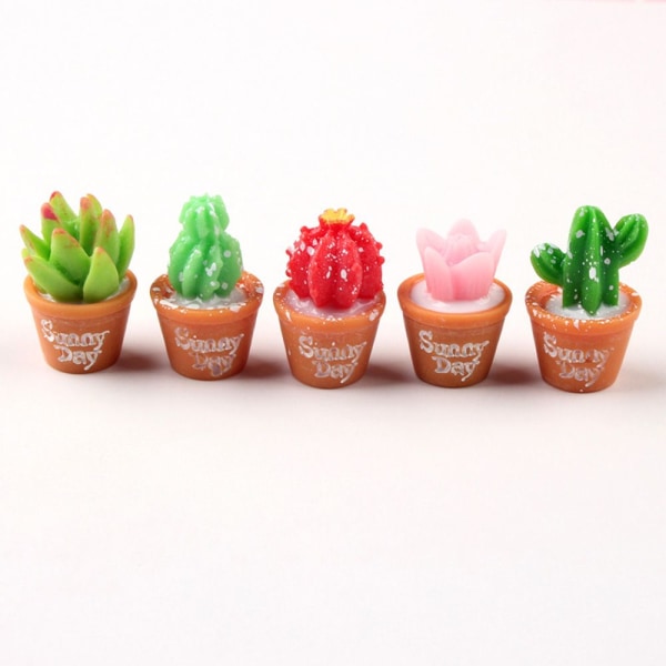 Sukkulente figurer i potte Cactus Bonsai Flower Miniature 11 11 (1.7X2.7CM)