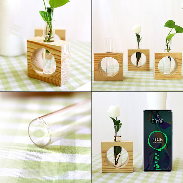 Hydroponic Plants Vas Glas Vas Träram