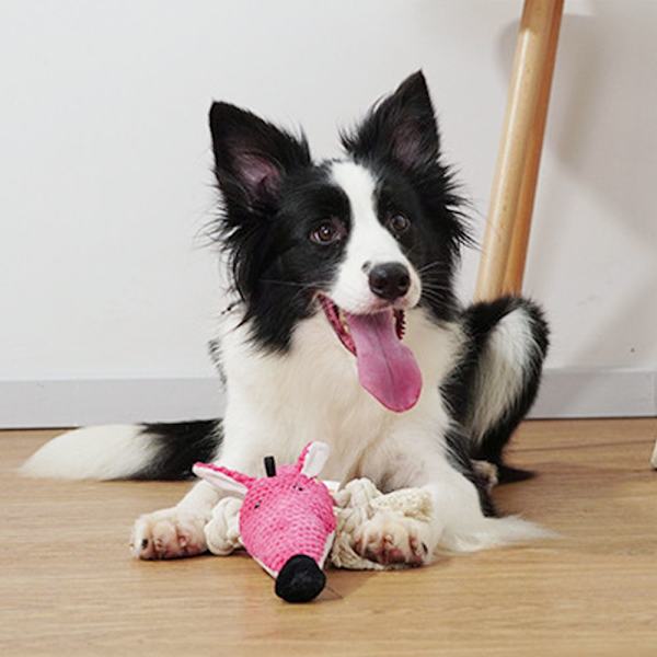 Pehmolelut Puppy Cotton Chew Long Nosed Mouse