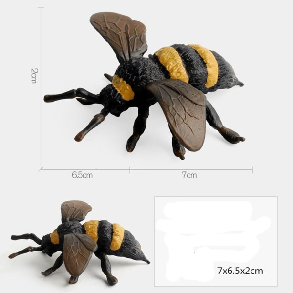 Insektsdyrmodellsimulering Ladybug 8 8 8
